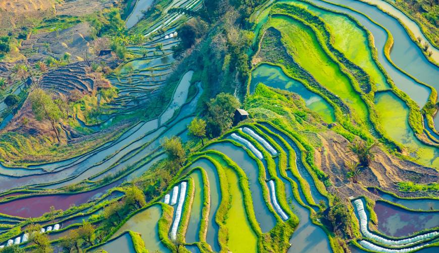 为什么TA的广告总能刷屏？汨罗市广告片拍摄公司深度解码创作公式